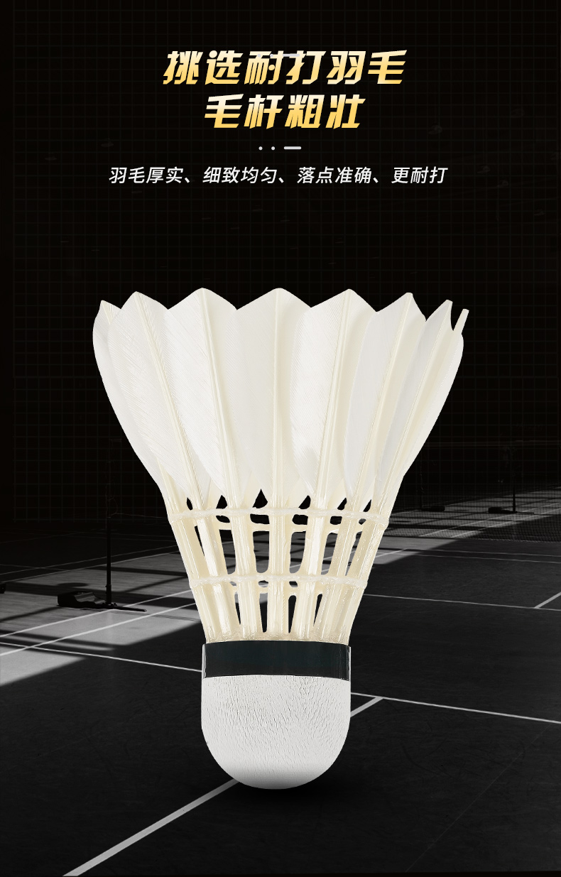 ใหม่12ชิ้นมืออาชีพลูกขนไก่ G20 - Badminton Victor บทวิจารณ์และราคา