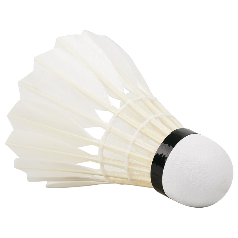 ใหม่12ชิ้นมืออาชีพลูกขนไก่ G20 - Badminton Victor บทวิจารณ์และราคา
