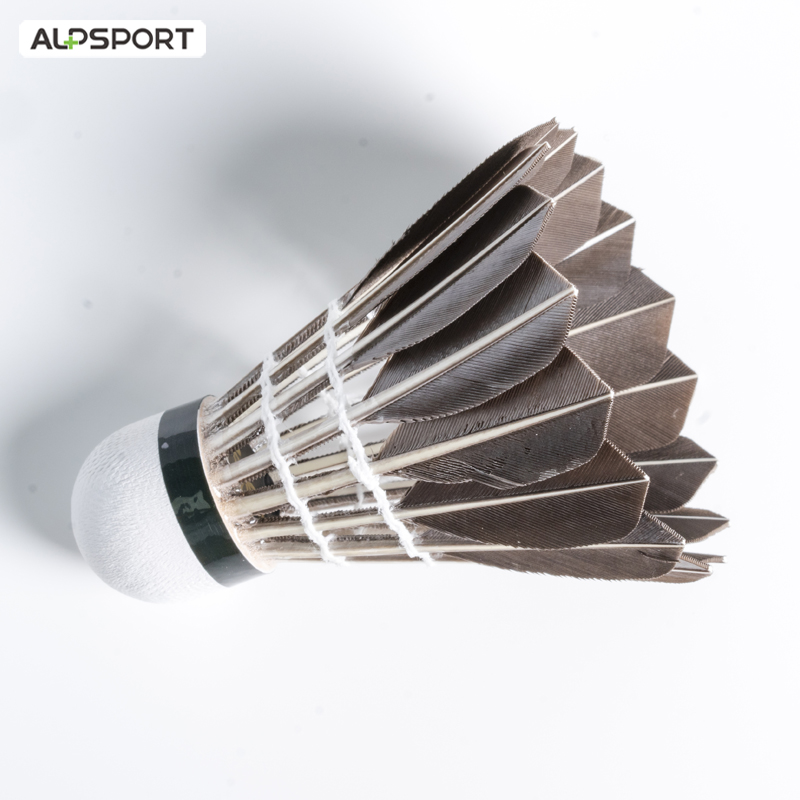 ALP 806 ลูกแบดมินตัน 12 ชิ้น B - Badminton Victor บทวิจารณ์และราคา