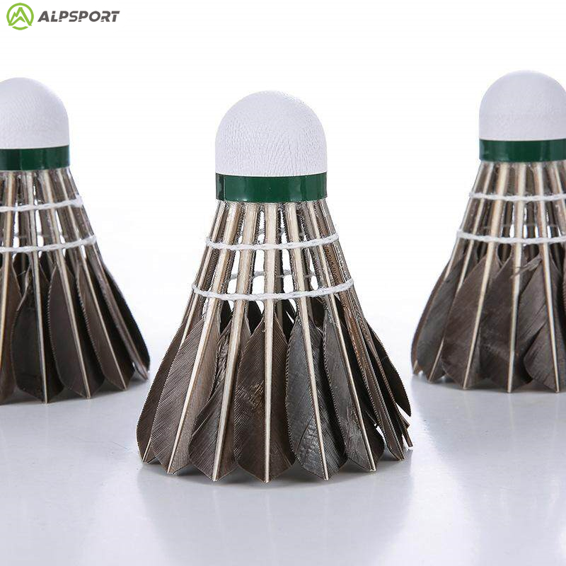 ALP 806 ลูกแบดมินตัน 12 ชิ้น B - Badminton Victor บทวิจารณ์และราคา